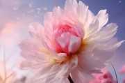 从昙花一现到长久绽放，用户社群的长期维护策略