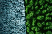 长文 vs 短视频，内容取舍的智慧